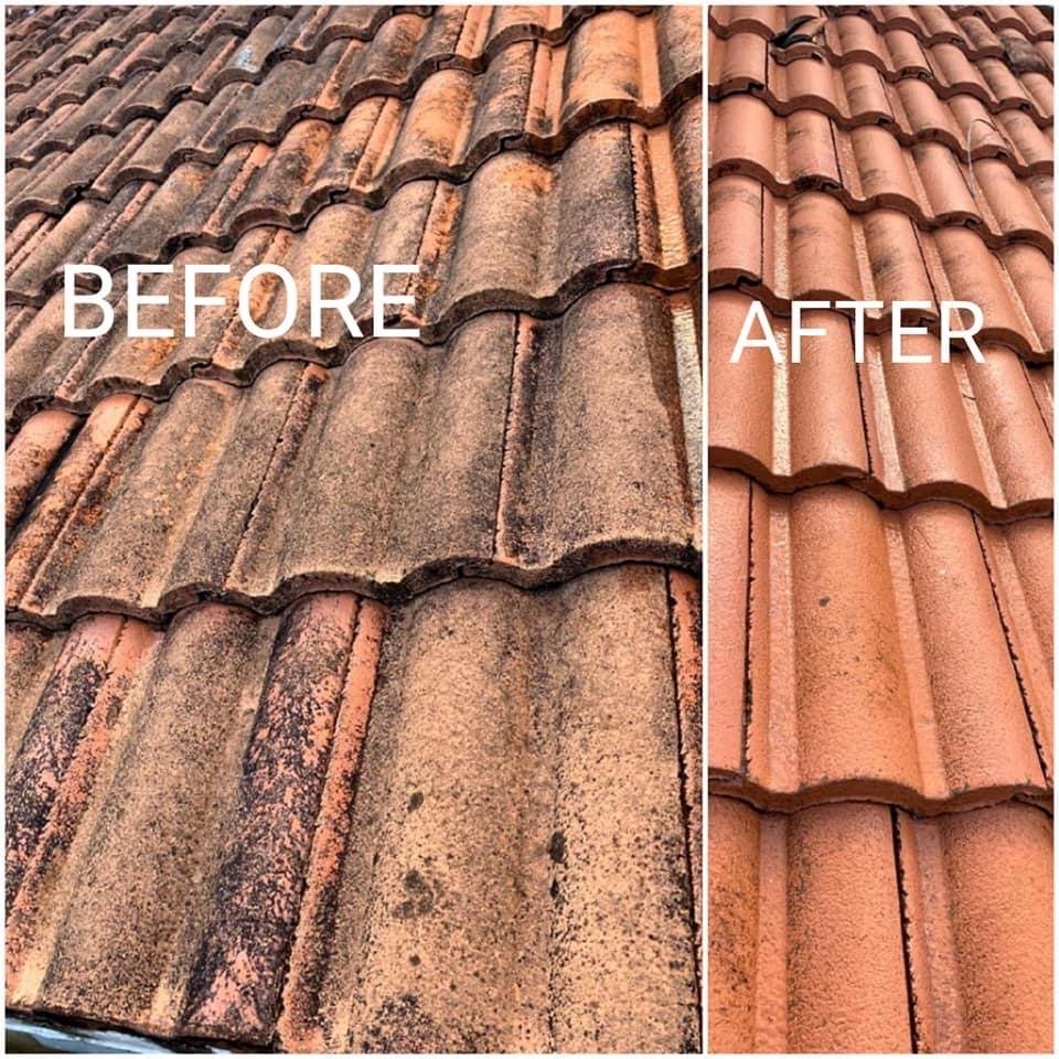 Before and after of a clay tile roof — heavy black algae removed to reveal clean terracotta tiles