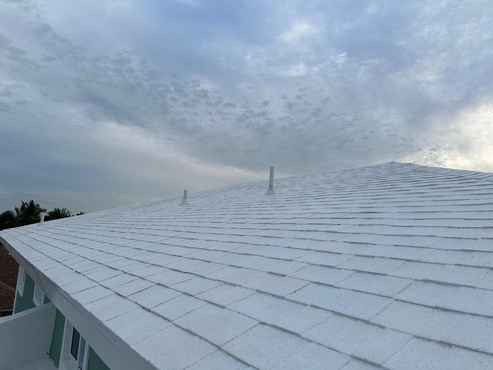 Shingle roof restored after D.B. Clean242 soft washing, extending its life